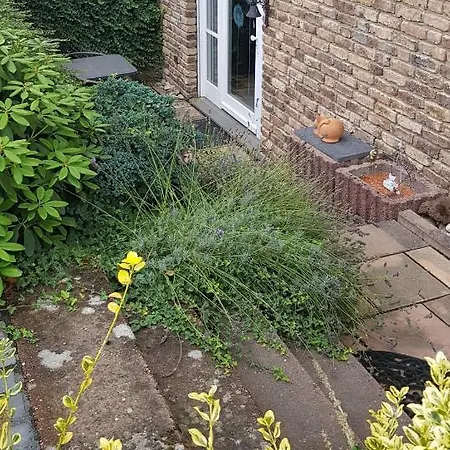 ruhige Ferienwohnung in Waldnähe Rheinbach Exterior foto